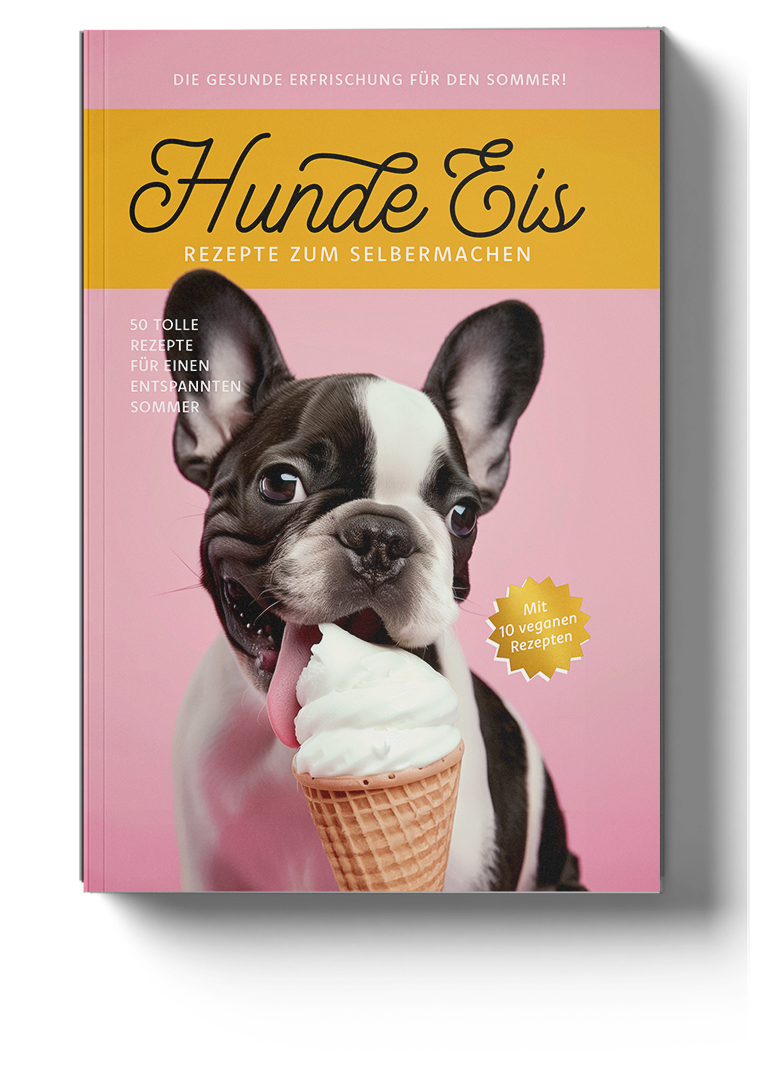 hundeeis-buch-solo-2024